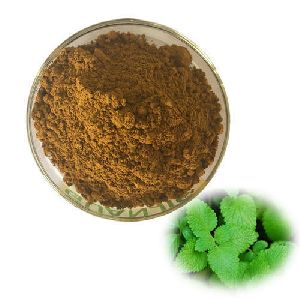 Lemon Balm Extract