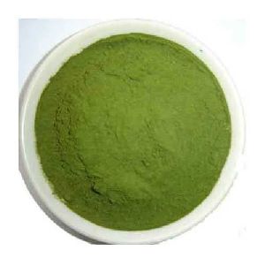 Medicago Sativa Extract