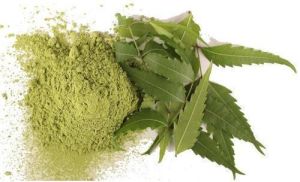 Neem Extract