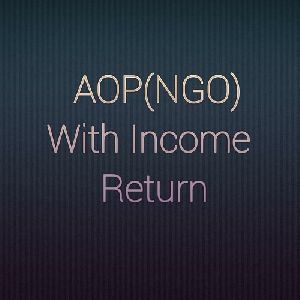 AOP(NGO) Audit Income Tax Return Services