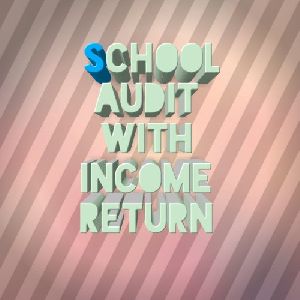 School Audit Income Tax Return Services