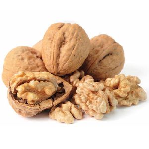 Shelled Walnuts