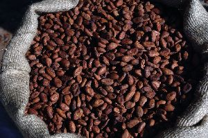 Cocoa Beans