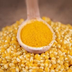 Corn Gluten Meal