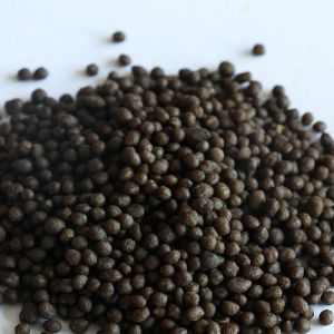 Diammonium Phosphate