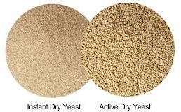 Dry Yeast