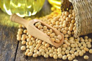 Hydrogenated Soybean Oil