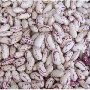 Light Speckled Kidney Beans