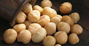 Macadamia Nuts