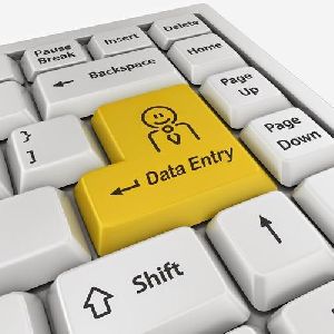 Telecom Data Entry Services