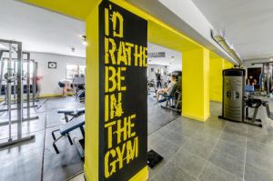 Gym Interior Designing Services