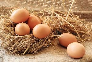 Fresh Brown Eggs