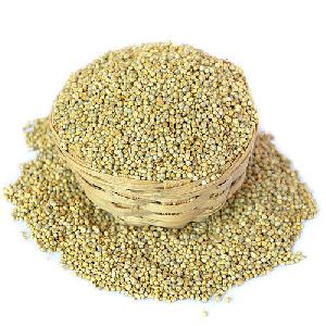 Indian Millet Seeds