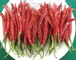 Guntur Sannam Red Chilli