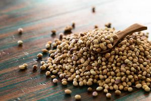 Coriander Seeds