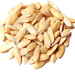 Muskmelon Seeds