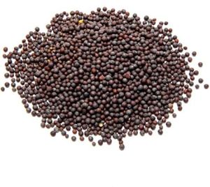 Rai Seeds