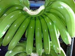 FRESH GREEN BANANA, FRESH CANVENDISH BANANA