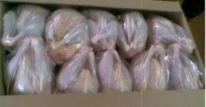 Halal Fresh Whole Chicken