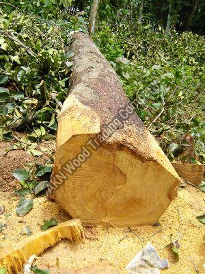 Anjili Wood