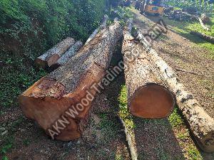 Mahogany Wood