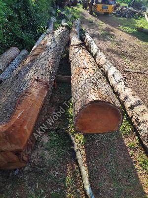Mahogany Wood