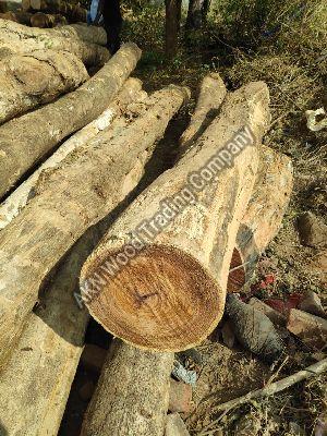 Rose Wood