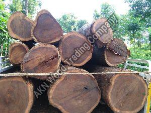 Rose Wood
