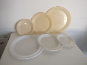 Plastic food plate