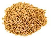 Mustard Seeds