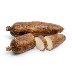 Fresh Arrowroot