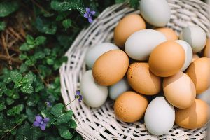 Fresh White and Brown Eggs