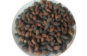 Neem Seeds