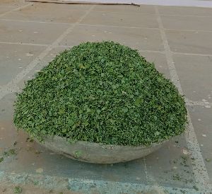 Nagaur's Famous Kasuri Methi ( Fenugreek Leaves )