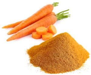 dehydrated carrot powder