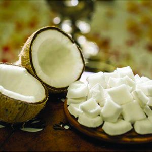 frozen coconut meat