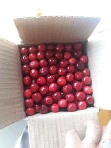 Fresh Cherry