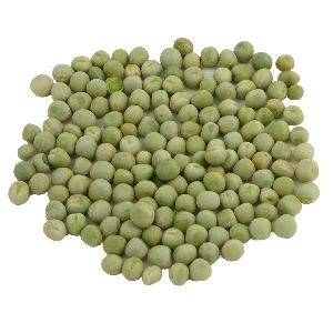 Pea Seeds