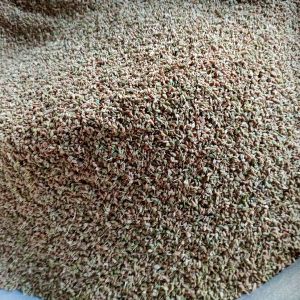 Green Brown Ajwain Seed