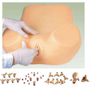 Gynecological Training Models