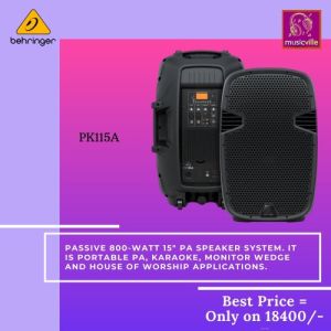 Powered PA Speaker