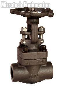 Globe Valve