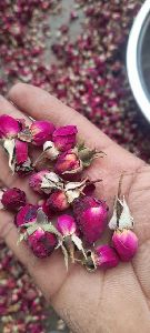 dried rose buds