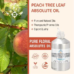 Peach Absolute Oil