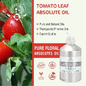Tomato Absolute Oil
