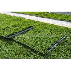 Green Grass Mat