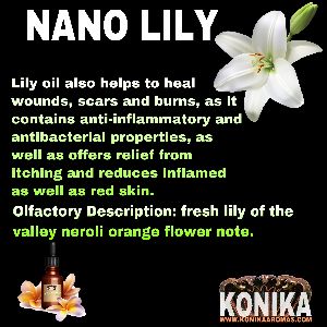 Nano Lily oil