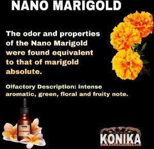 Nano Marigold