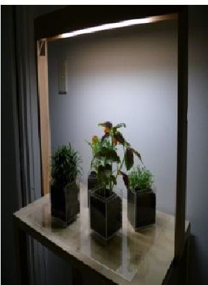 Acrylic Planters