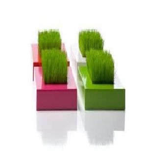 Acrylic Planters